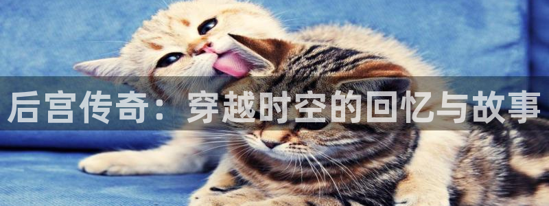 香蕉漫画男男