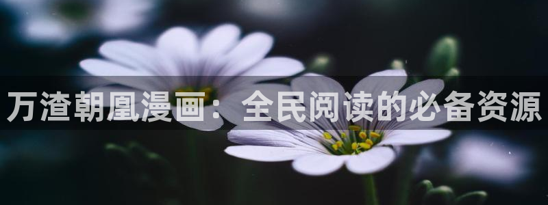 香蕉文化漫画大全