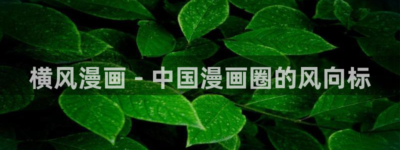 香蕉漫画如何免费获得阅读币：横风漫画 - 中国漫画圈的风向标